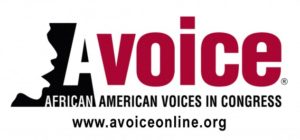 Avoice » Congressional Black Caucus Foundation » Advancing the Global ...